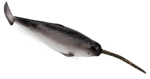 Toymany - Narwhal #00370 side image