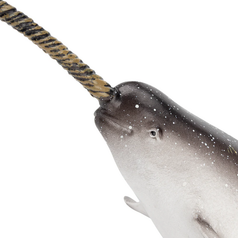 Toymany - Narwhal #00370 head image