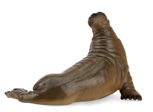 Toymany - Walrus #00360 side view image