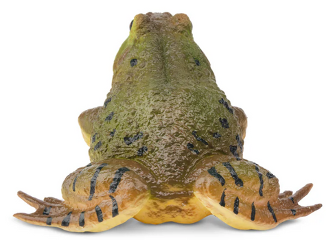 Toymany - American Bullfrog #00387 rear image