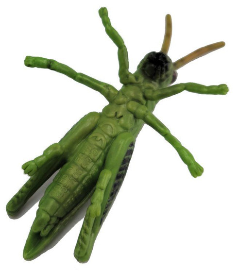 Grasshopper (CollectA)