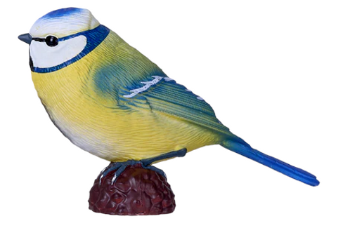 Mojo Blue Tit New 2025 #381115 main hero image