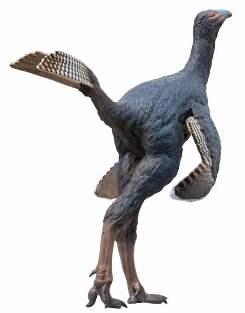 PNSO Junlang the Caudipteryx #93 Manufacturer hero image