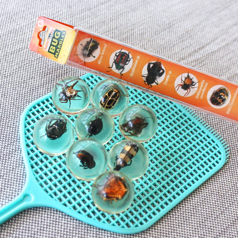 Safari Ltd. Geoworld Bug Marbles #107566 - marble and packaging Image