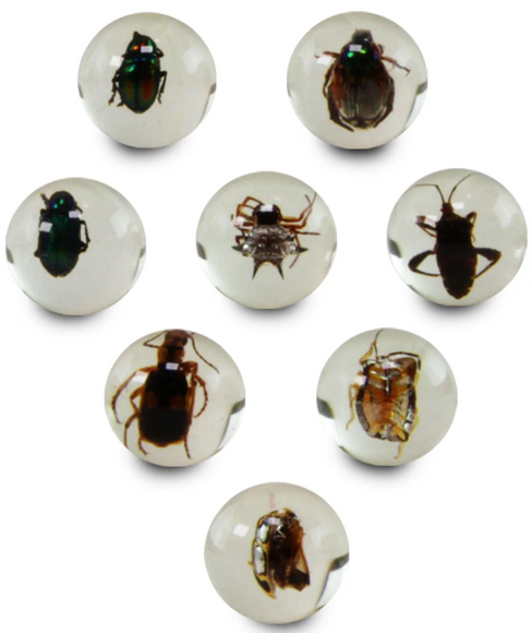 Safari Ltd. Geoworld Bug Marbles #107566 - complete collection Image