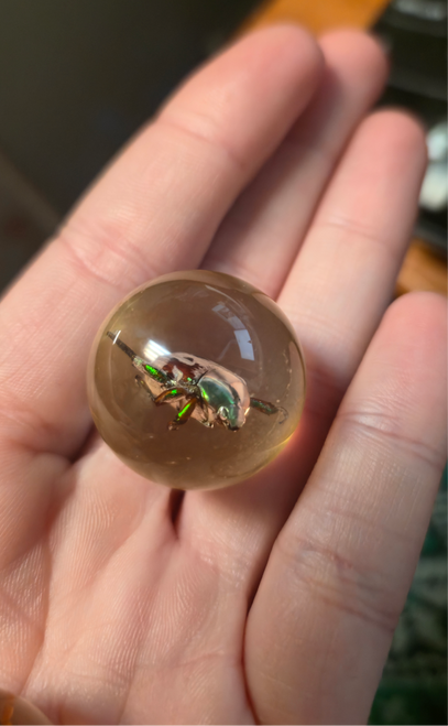 Safari Ltd. Geoworld Bug Marbles #107566 - marble in-hand Image