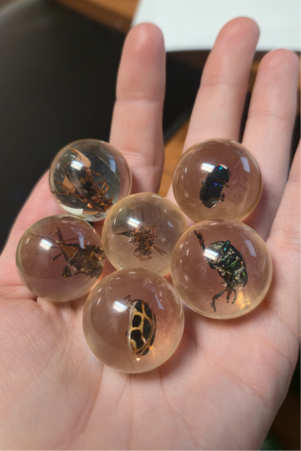 Safari Ltd. Geoworld Bug Marbles #107566 - complete collection in palm Image