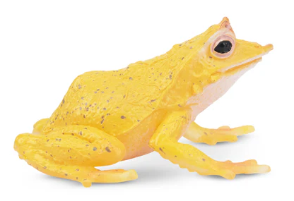 Toymany - Solomn Island Leaf Frog #00307 -  Side View