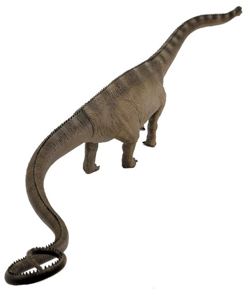 REBOR - Male Diplodocus Carnegii Stargazer #161021  rear Image