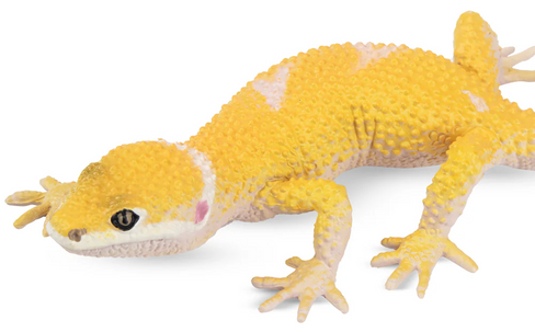 Toymany Leopard Gecko #308 - Front Angle View