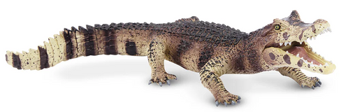 Toymany Black Caiman #318 - hero image