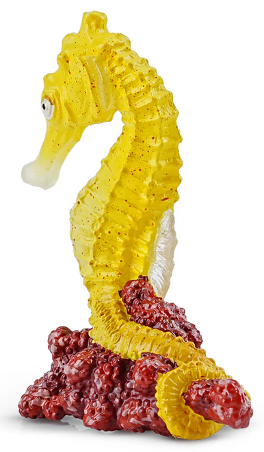 Toymany - Seahorse #461 front top image