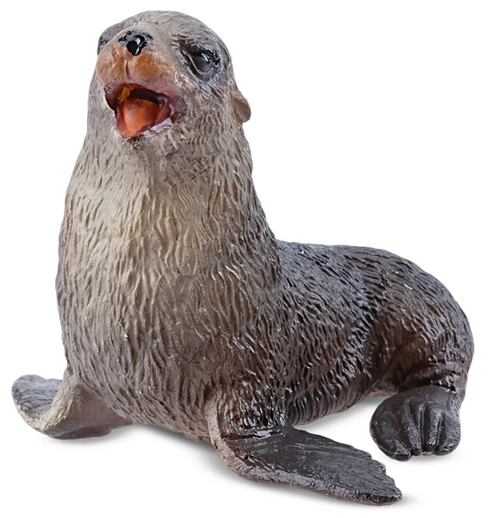 Toymany - Fur Seal #459 front image