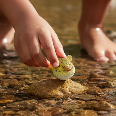 Toymany - Pufferfish #458 playtime image