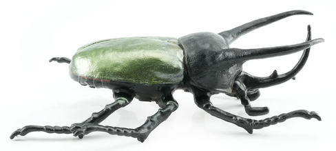 Toymany - Atlas Beetle #423 - right side view image