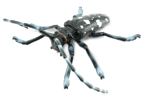 Toymany Citrus Longhorned Beetle #422 - Main Piciture