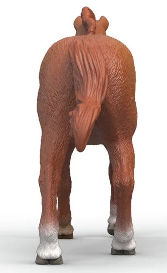 Schleich Toy English Thoroughbred Stallion #14915 Back
