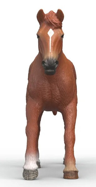 Schleich Toy English Thoroughbred Stallion #14915 Front