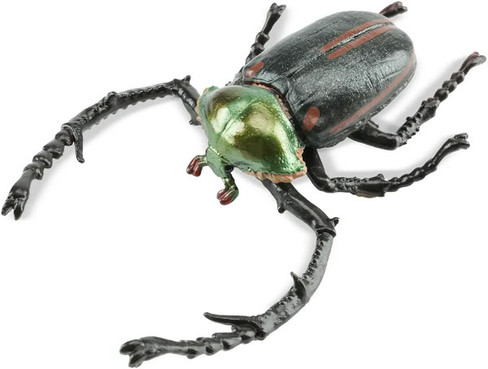 Toymany Janson's Long-armed Scarab Beetle #431 - Main Picture