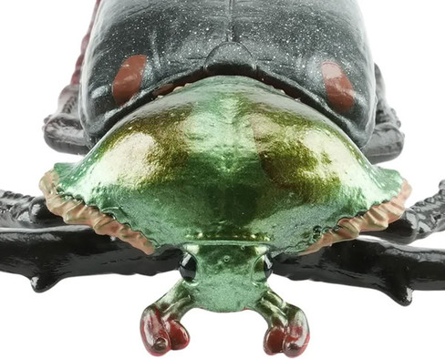 Toymany Janson's Long-armed Scarab Beetle #431 - Close Up Head Vie