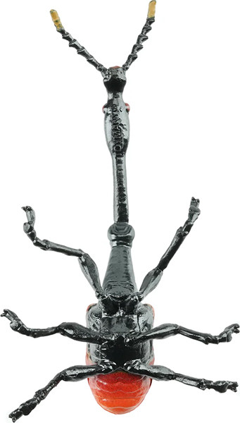 Toymany Giraffe Weevil #428 - Belly View