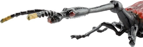 Toymany Giraffe Weevil #428 - Close Up Head View