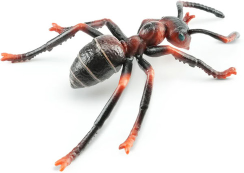 Toymany Red Imported Fire Ant #432 - Rear View From Above