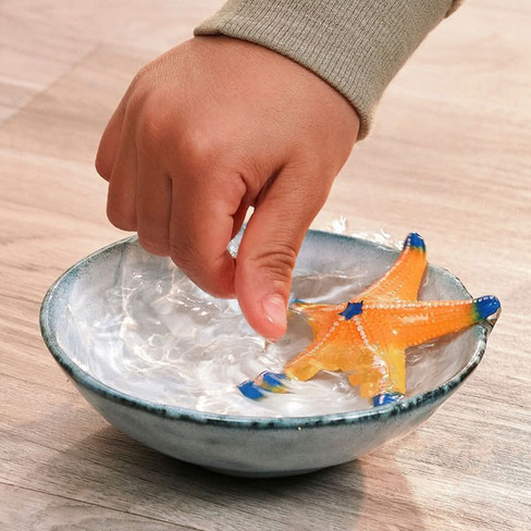 Schleich Color Changing Starfish #14902 - Playtime