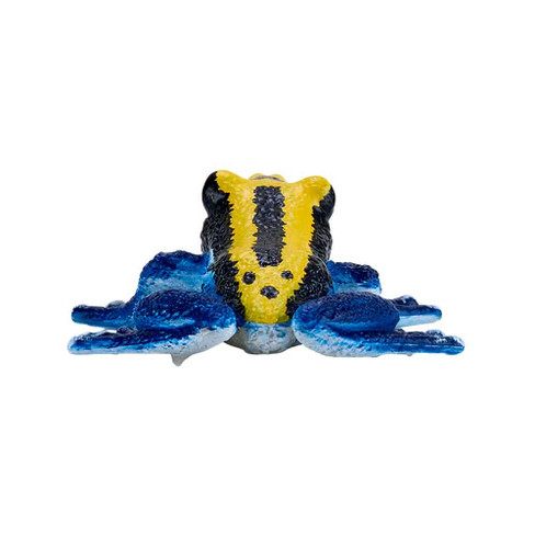 Mojo Poison Dart Frog Blue #381069 - Rear View