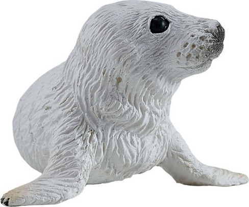 Mojo Grey Seal Pup #381135 - Front View
