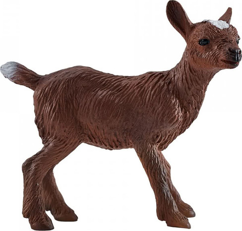Mojo Kid Goat #381138 - Main Picture