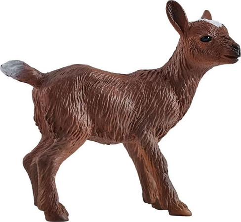 Mojo Kid Goat #381138 - Right View