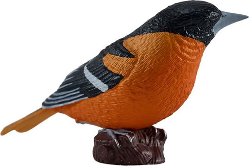 Mojo Northern Oriole #381143 - Right View