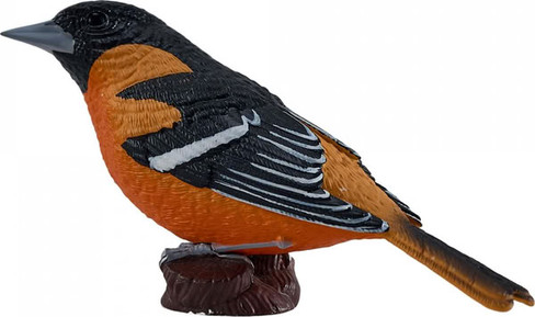 Mojo Northern Oriole #381143 - Left View