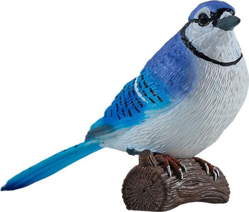 Mojo Blue Jay #381145 - Right View