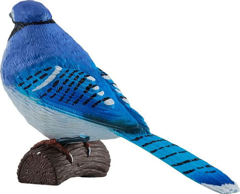 Mojo Blue Jay #381145 - Rear Left View