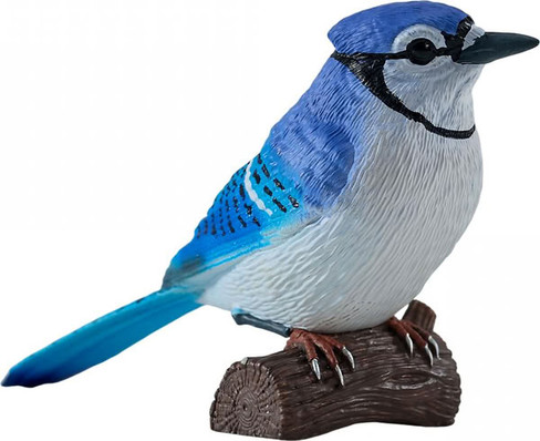 Mojo Blue Jay #381145 - Main Picture