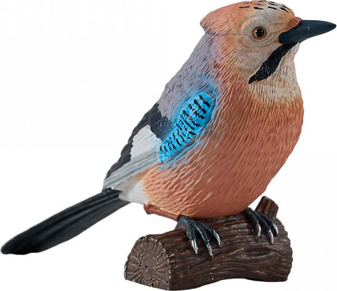 Mojo European Jay #381146 - Main Picture