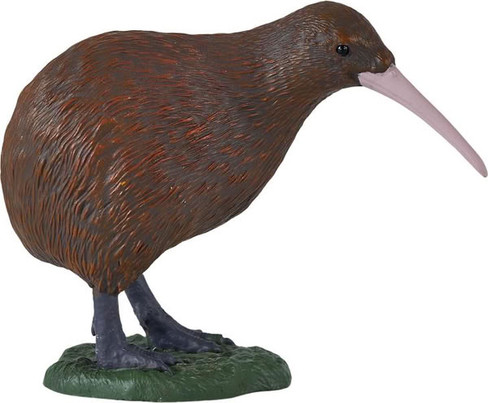 Mojo New Zealand Kiwi  #381149 - Right View