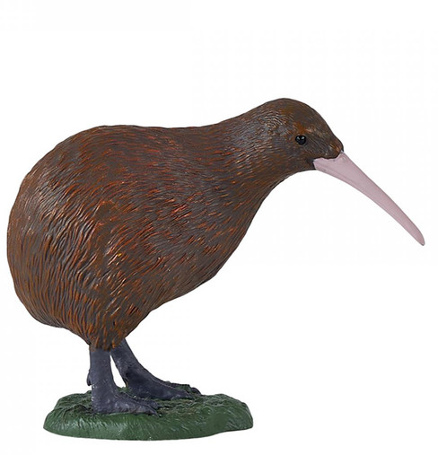 Mojo New Zealand Kiwi  #381149 - Main Picture