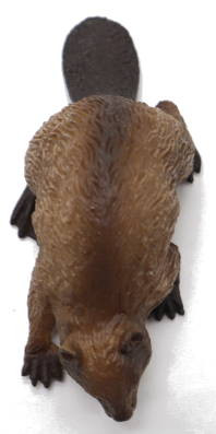 CollectA Beaver #88382 - Waddling Down to the River