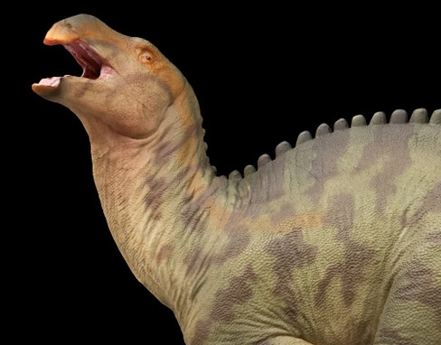 PNSO Lanqi the Lanzhousaurus 097 - Left Head View