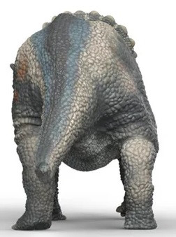 Schleich Triceratops #15050 - Back View