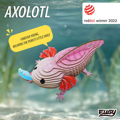 EUGY Axolotl 3D Puzzle 139 - RedDot Winner