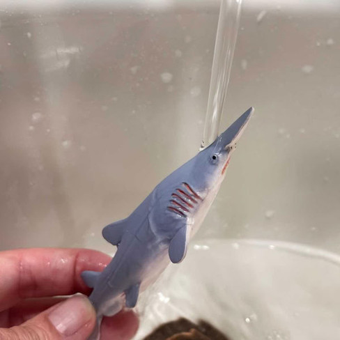 Safari Ltd. Goblin Shark #110031 - By Hand
