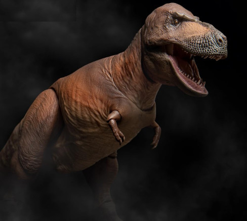PNSO Cameron T-Rex Articulated Dinosaur Figure - Front Angle
