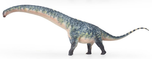 Haolonggood Dreadnoughtus - Limited Edition - Blue - Left Side View
