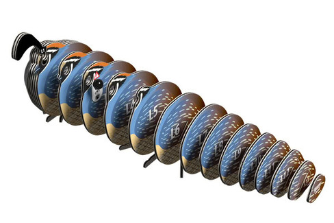 EUGY Quail 3D Puzzle #129 - Exploded Construction View
