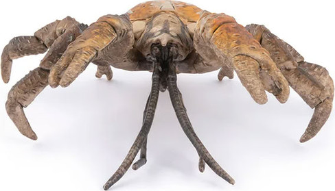 Papo Coconut Crab #56020 - Front View