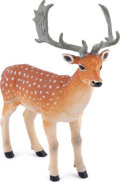 Papo Fallow Deer #50325 - Right Front View